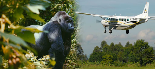 Fly into Rwanda track Gorillas in Uganda 4 days