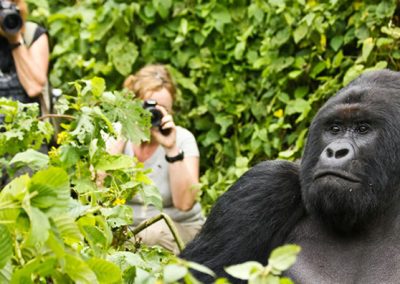 13 day classic Uganda adventure safari
